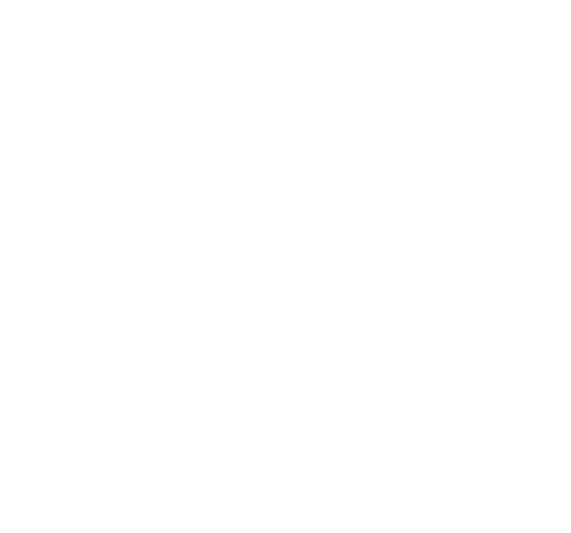 icon of Aallie
