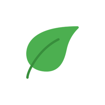 Anki Decks