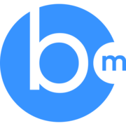 icon of Bidmatic