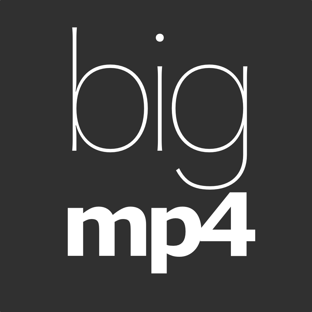 icon of bigmp4