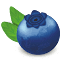 Bilberrydb