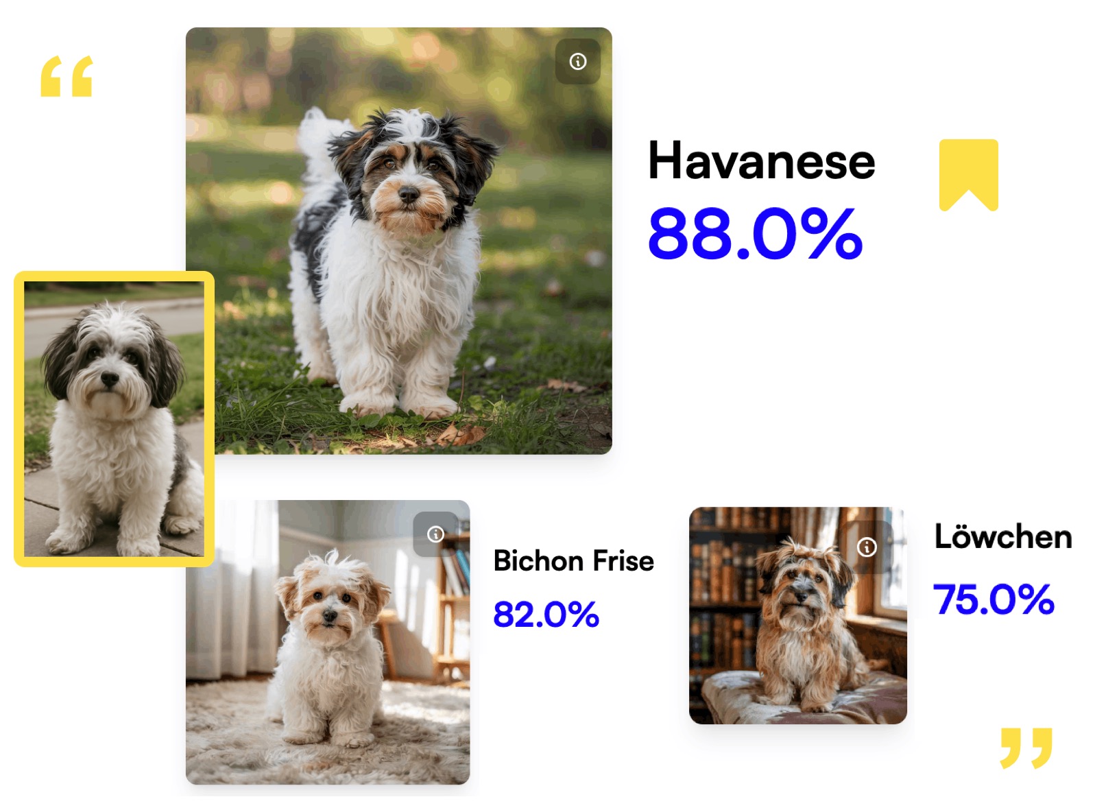 breed.dog
