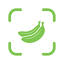 icon of CalVault