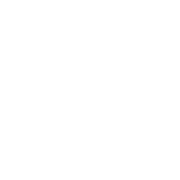 icon of Chirper