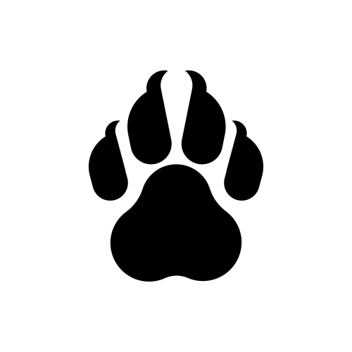 icon of ClawCloud Run