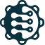 Cogniroot