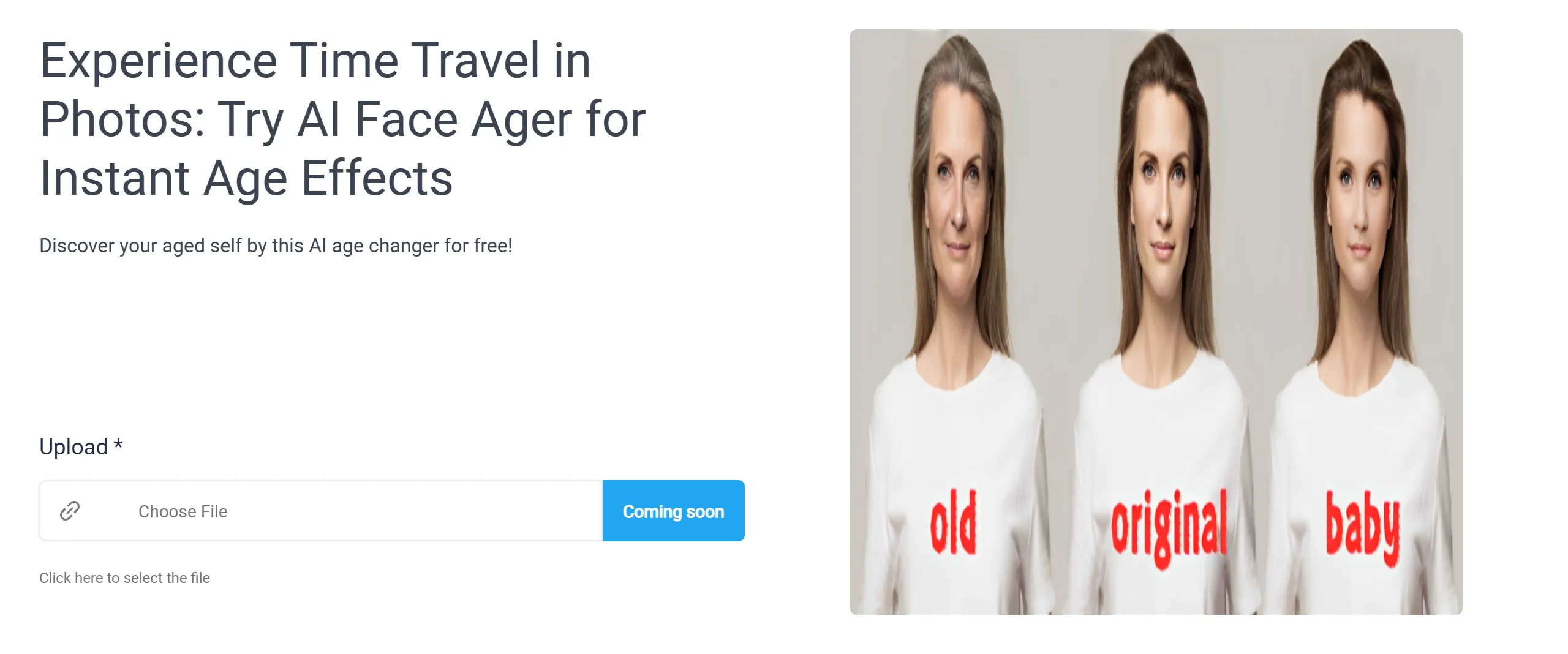 icon of FaceStyler