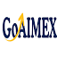 icon of GoAiMEX
