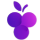 icon of Grapepay