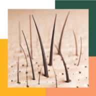 icon of Hairscope
