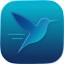 Hummingbird
