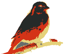 icon of Kanaries