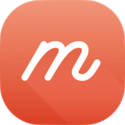 icon of Mirro