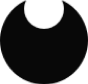icon of Newo