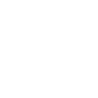 icon of newtonslab