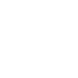 icon of Oasis