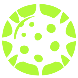 icon of ParasiteSEO