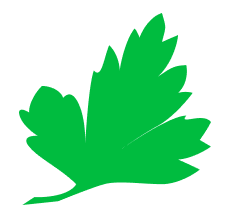 icon of Parsely