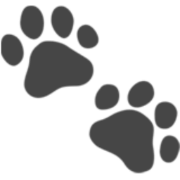 Pet Lens AI
