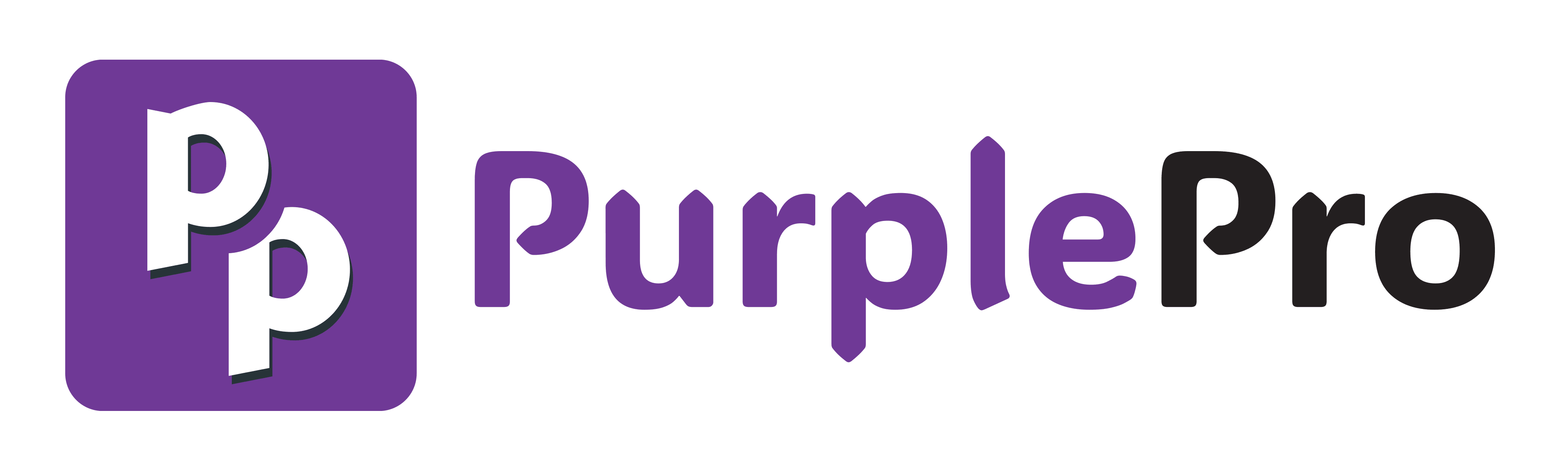 icon of purplepro