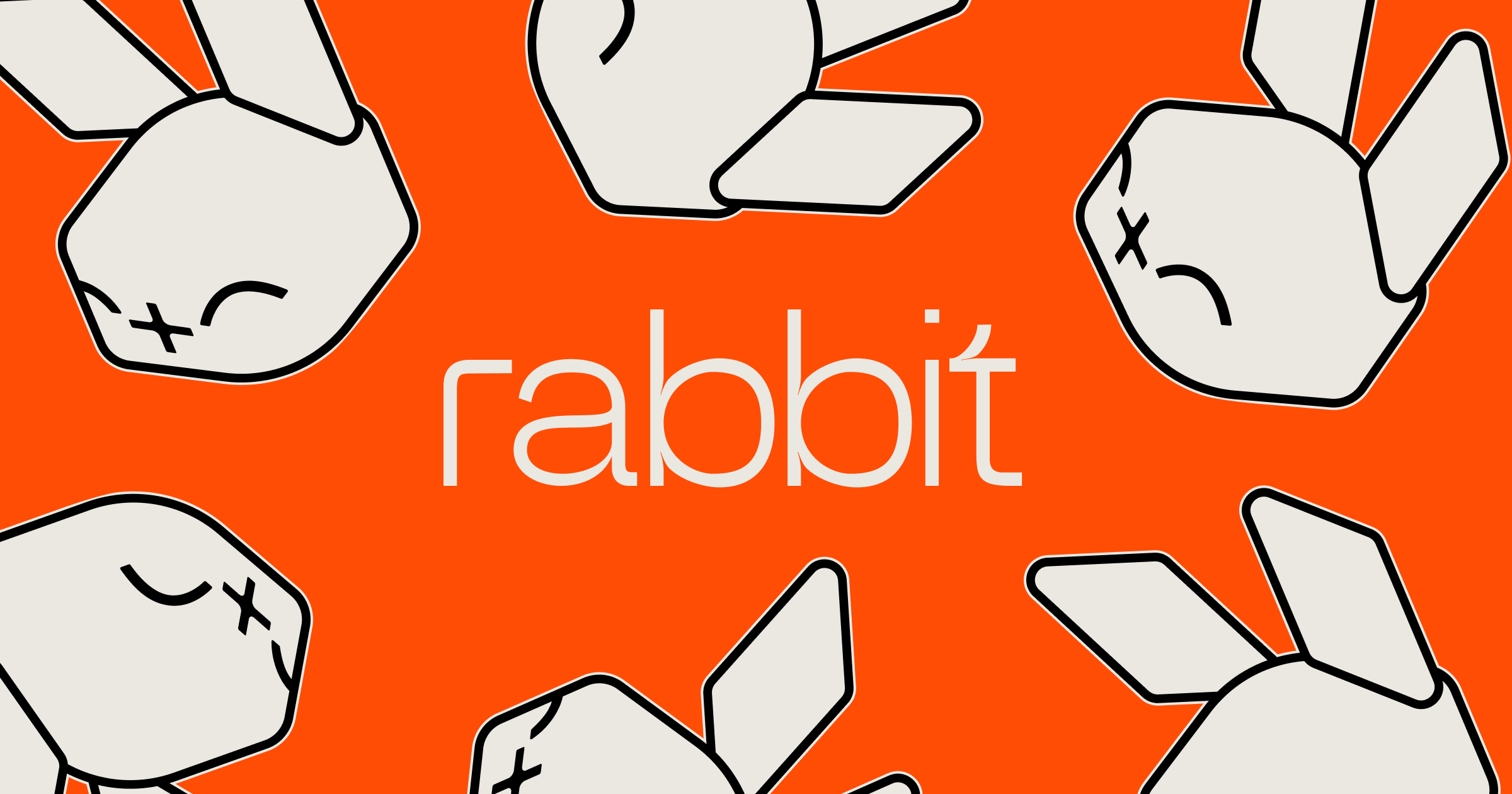 rabbit