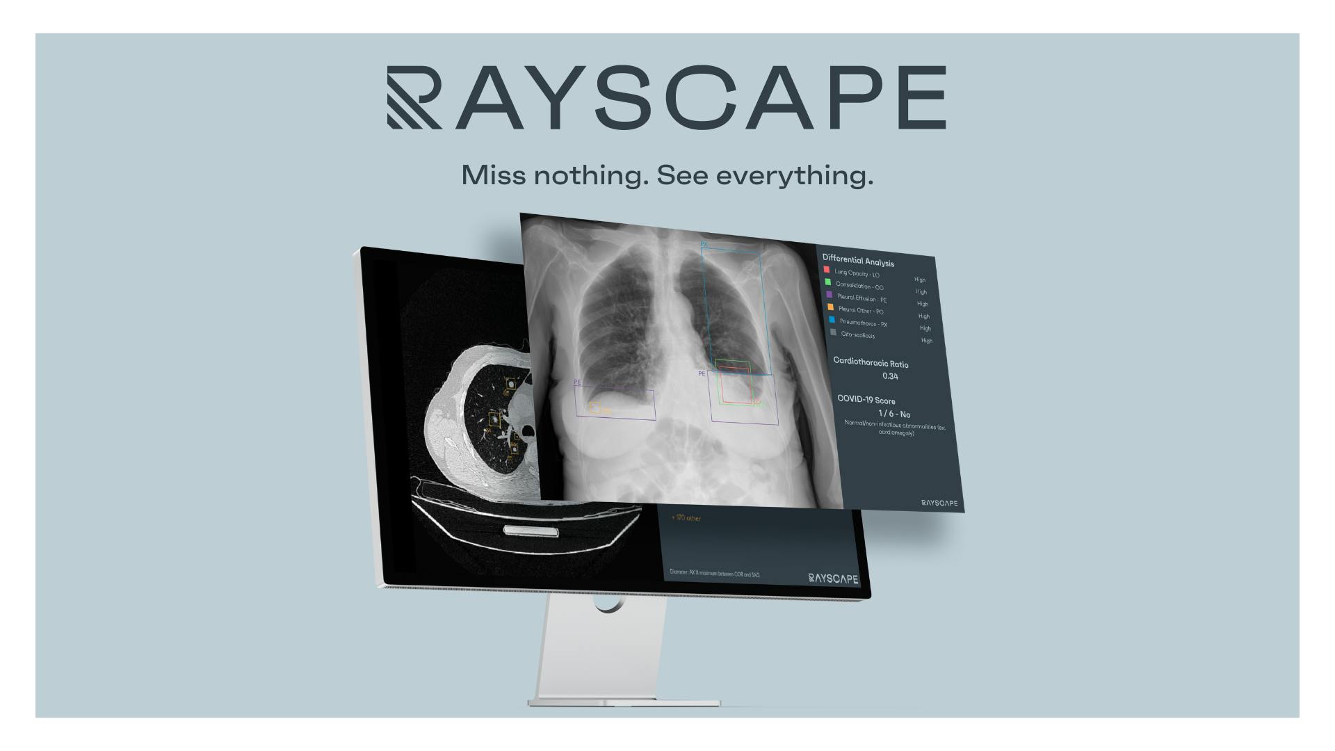 Rayscape