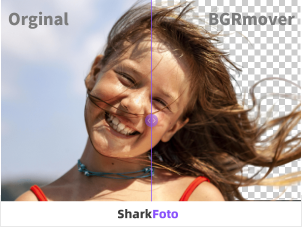 sharkfoto
