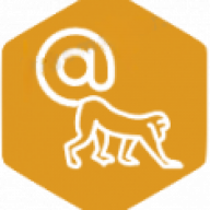 summymonkey