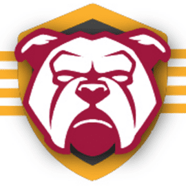 The Security Bulldog