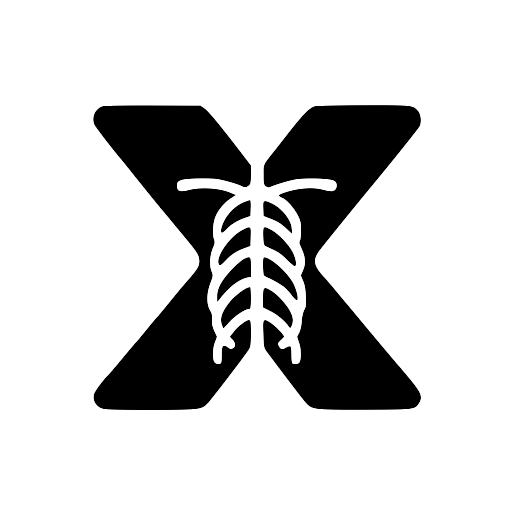 icon of X-ray Interpreter
