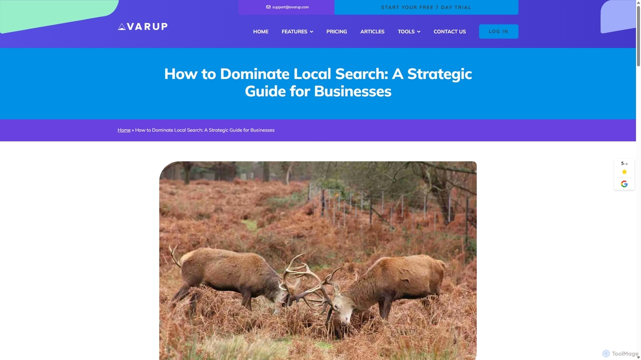 How to Dominate Local Search: A Strategic Guide for Businesses for Avarup