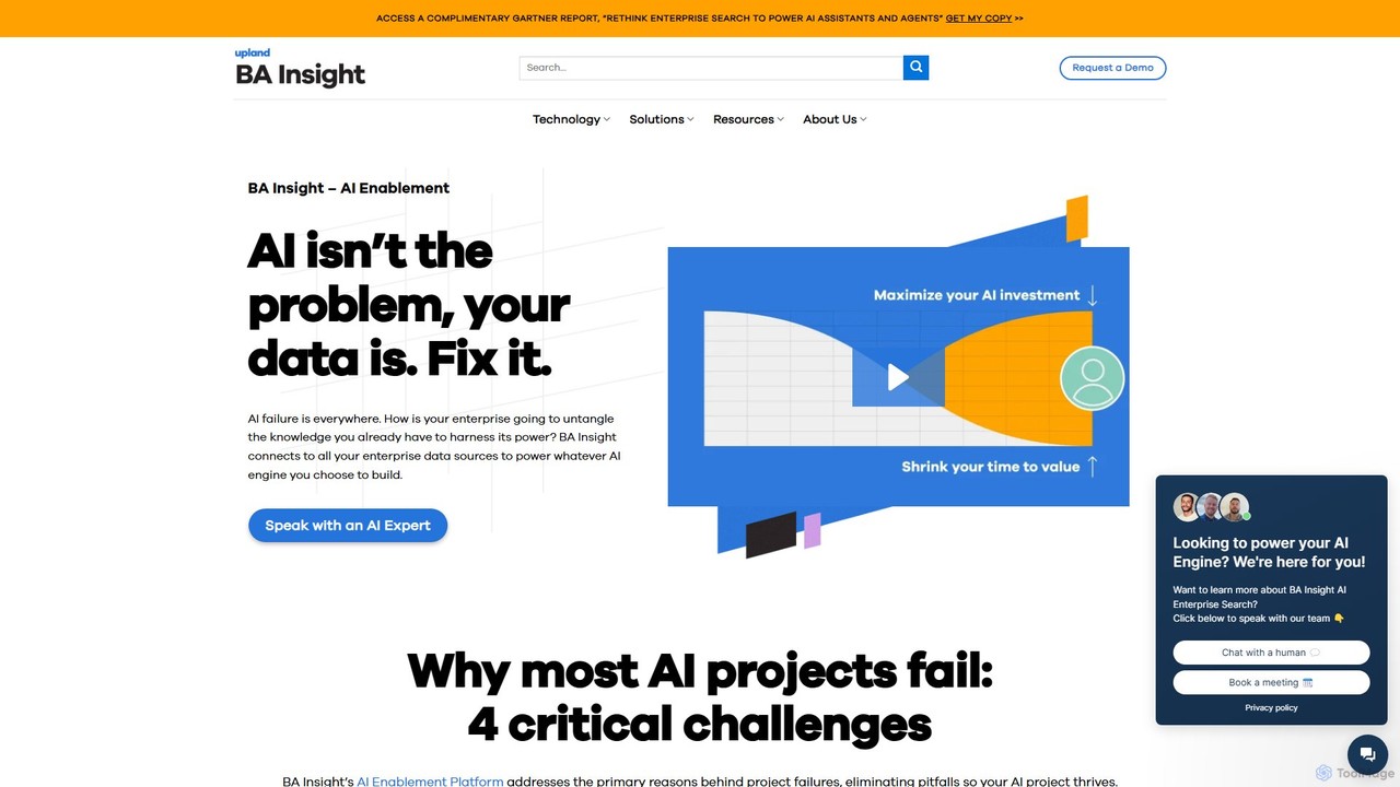 BA Insight