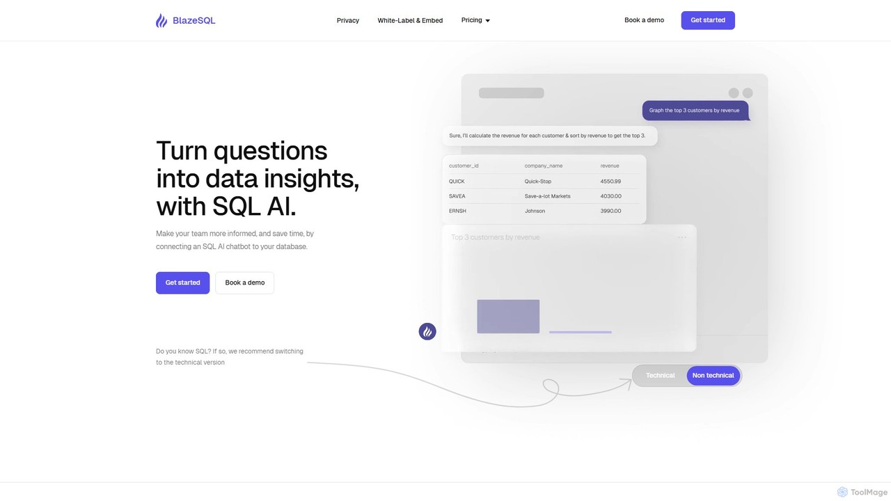 BlazeSQL