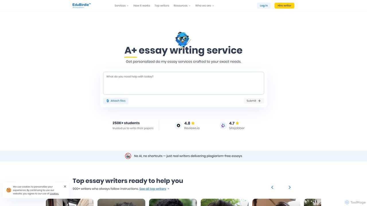 preview for CustomWriting