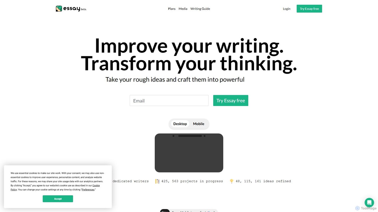 Essay
