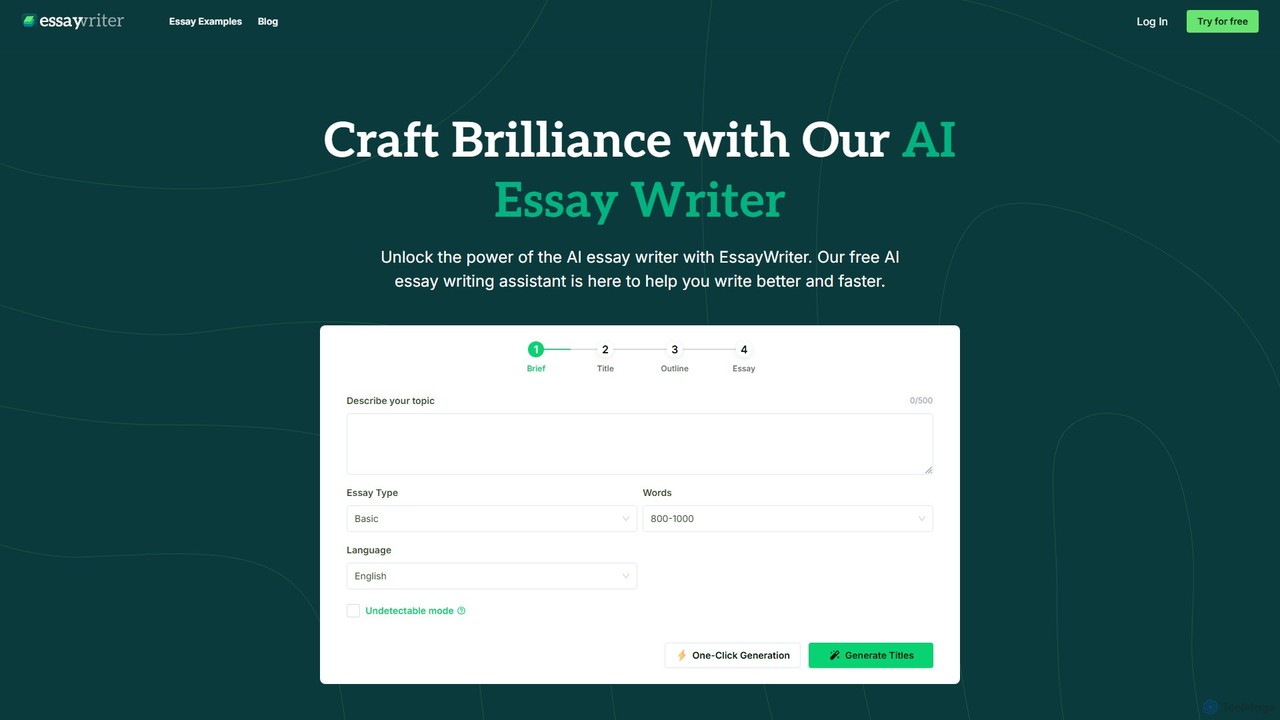 EssayWriter