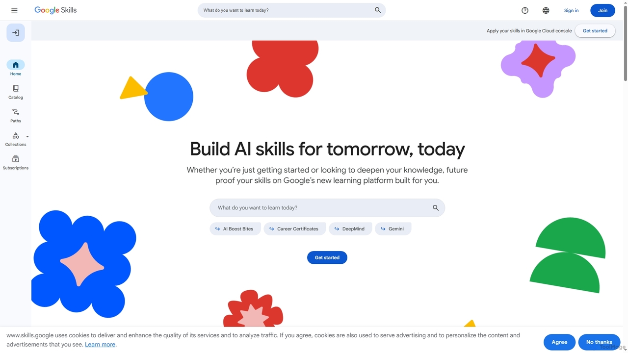 Google Skills