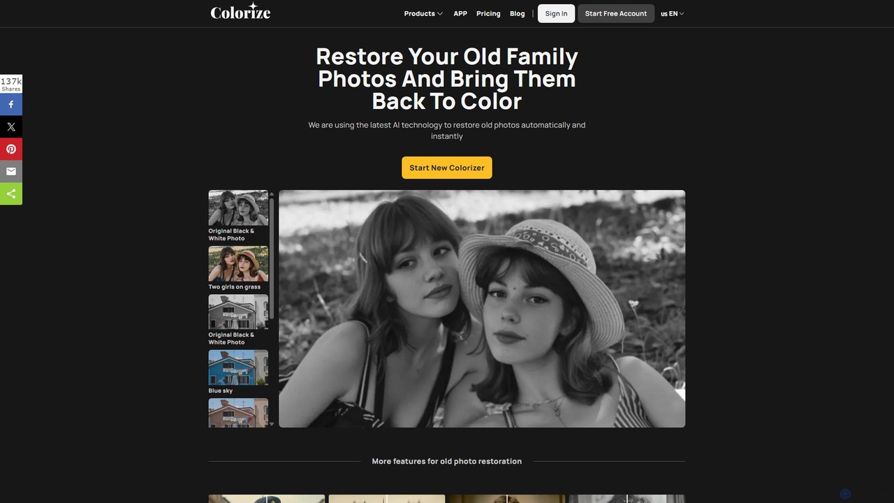 ImageColorizer