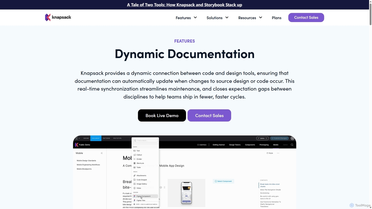 Dynamic Documentation for Knapsack