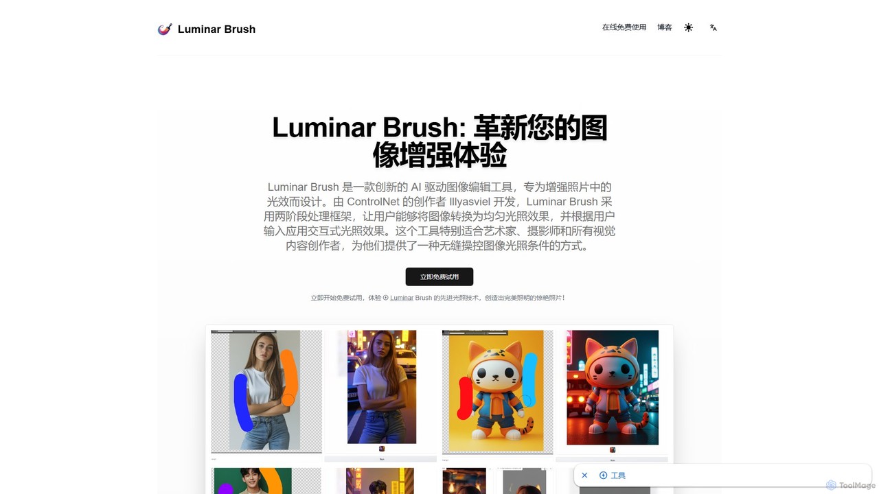 Luminar Brush