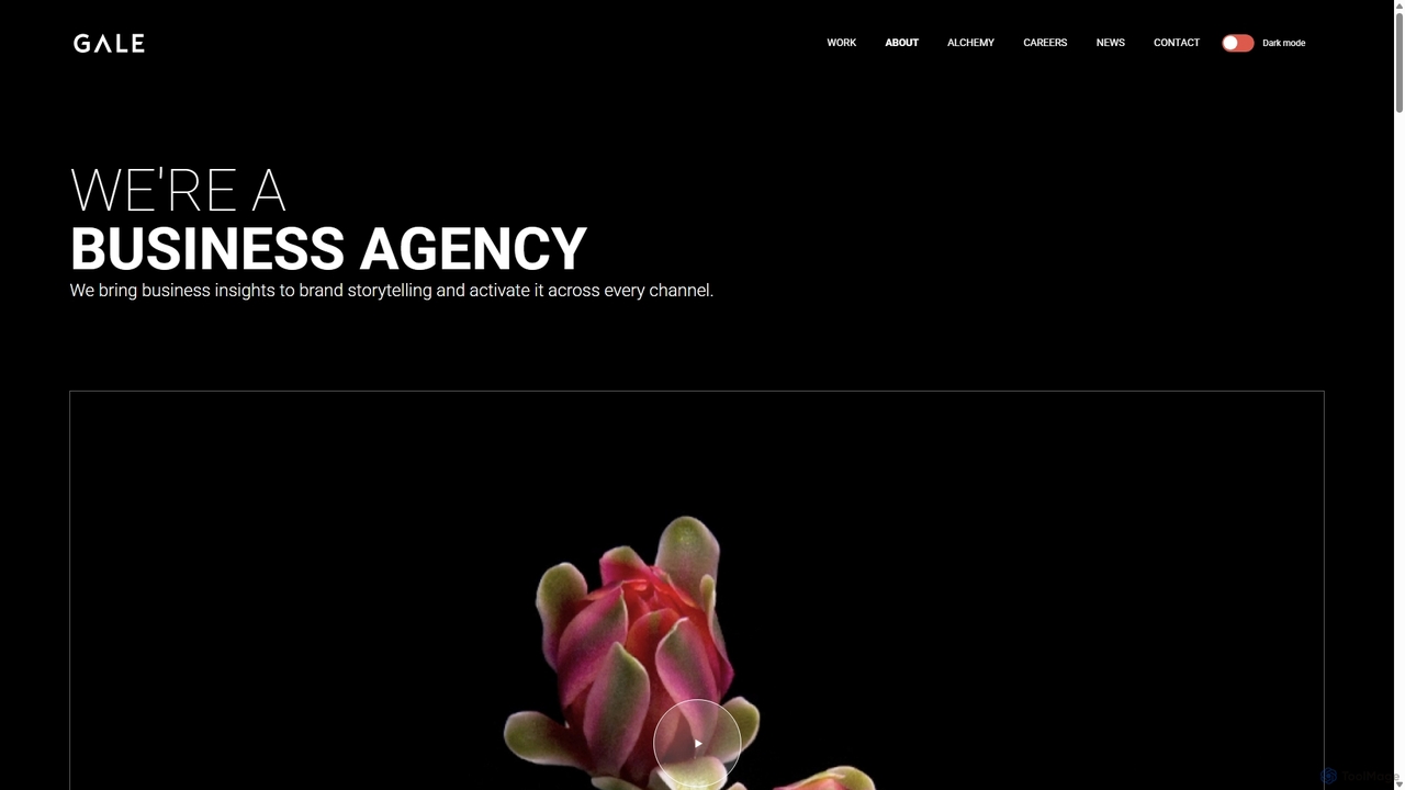 About Us | GALE Partners for Markey
