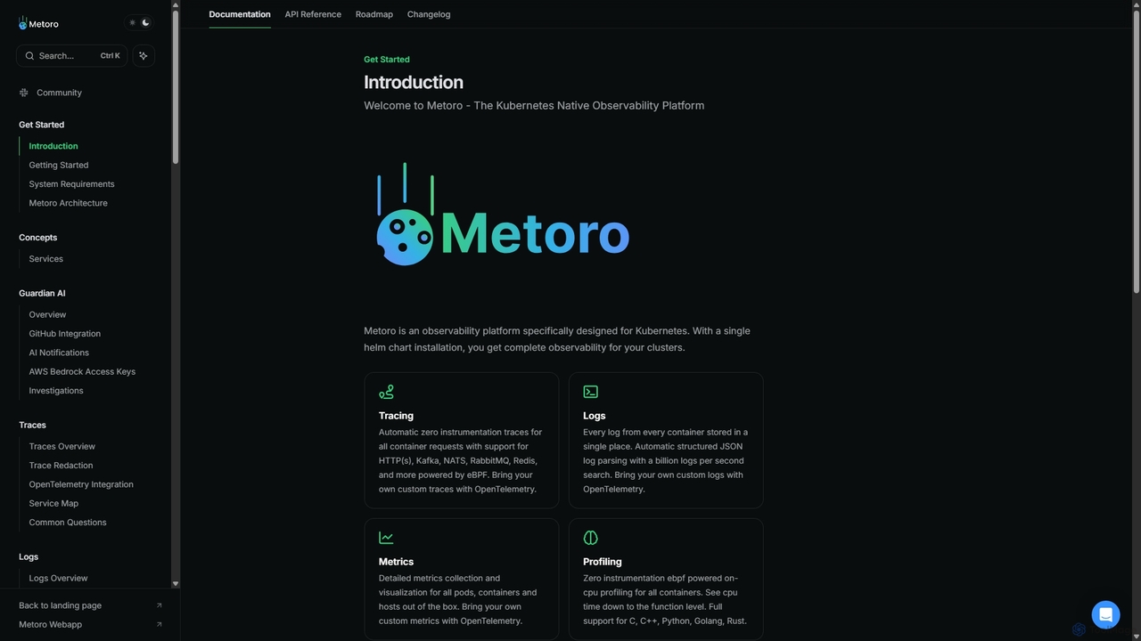 Introduction - Metoro Documentation for Metoro