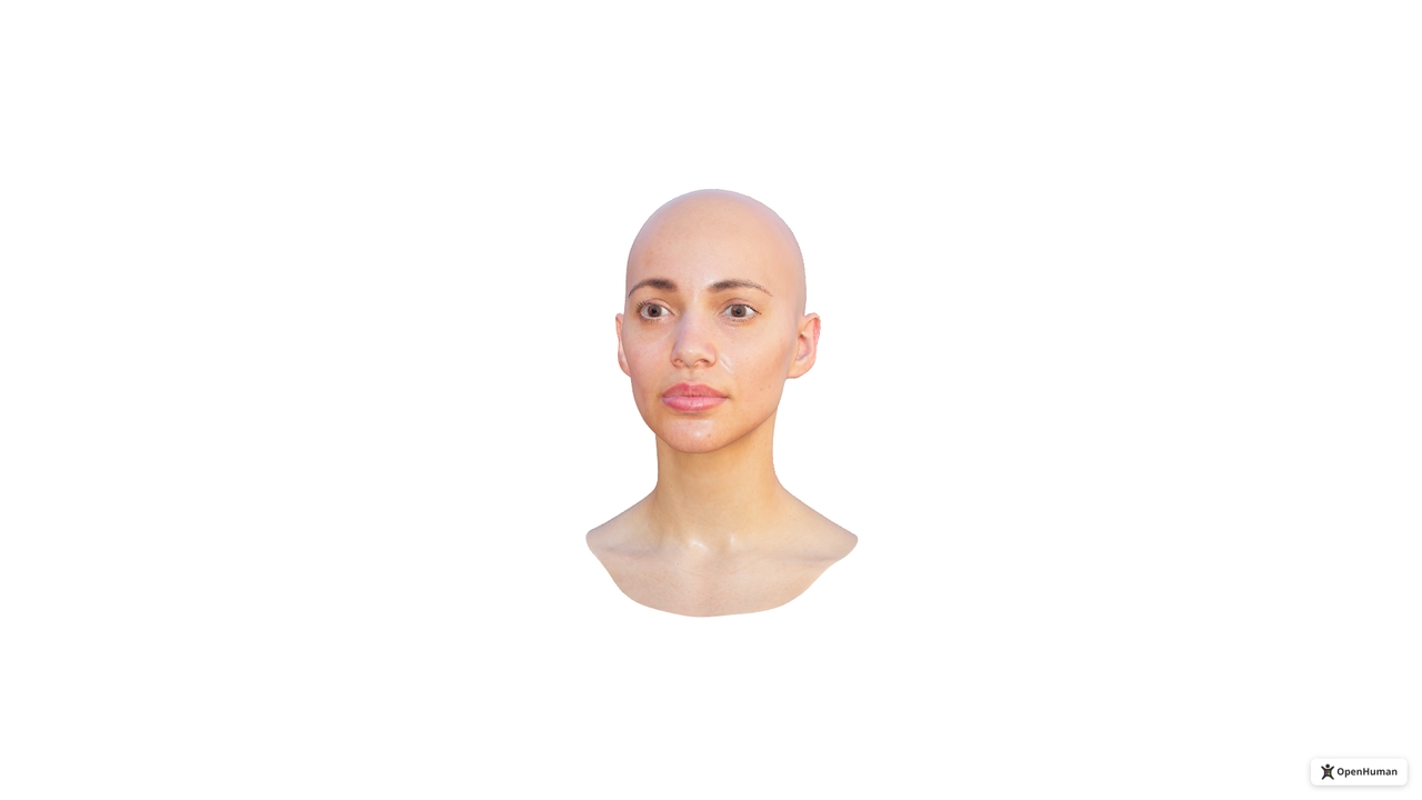 OpenHuman