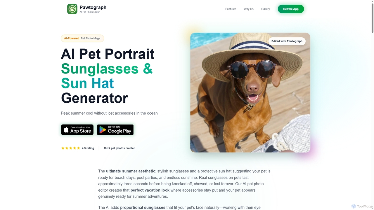 Sunglasses & Sun Hat AI Pet Portrait - Summer Photo Editor | Pawtograph for Pawtograph