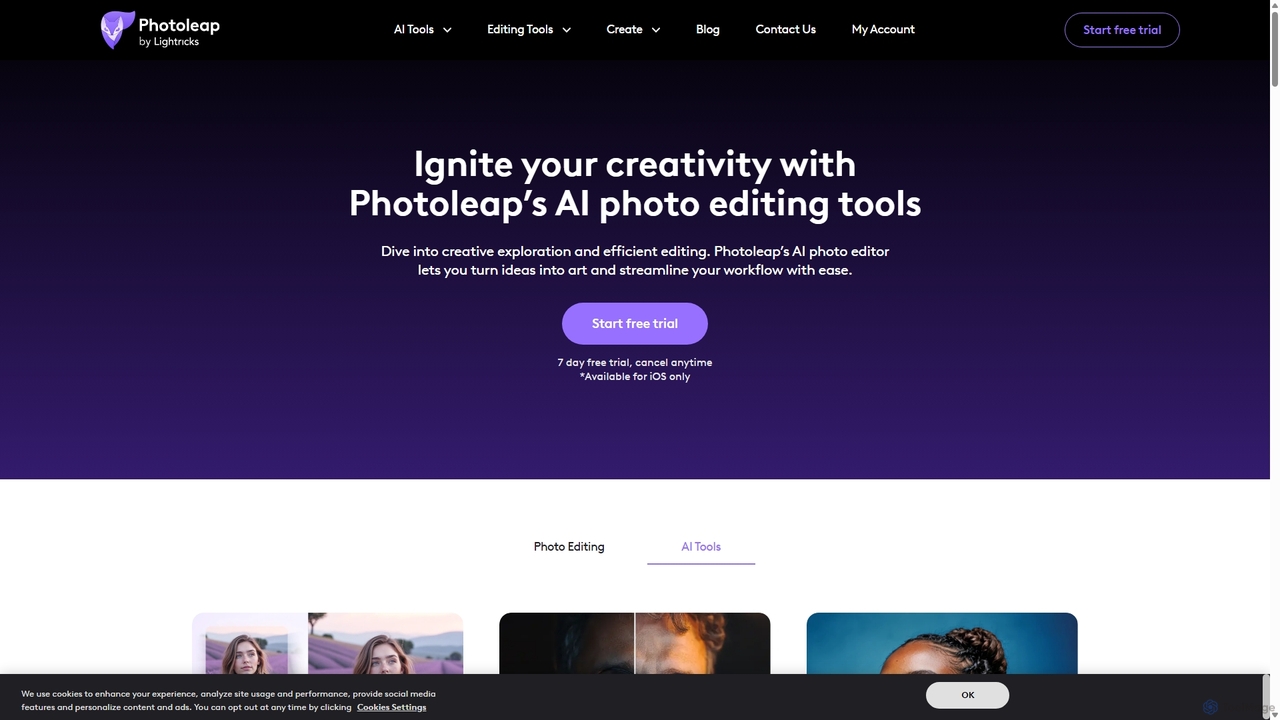AI Photo Editing Tools | Photoleap for Photoleap