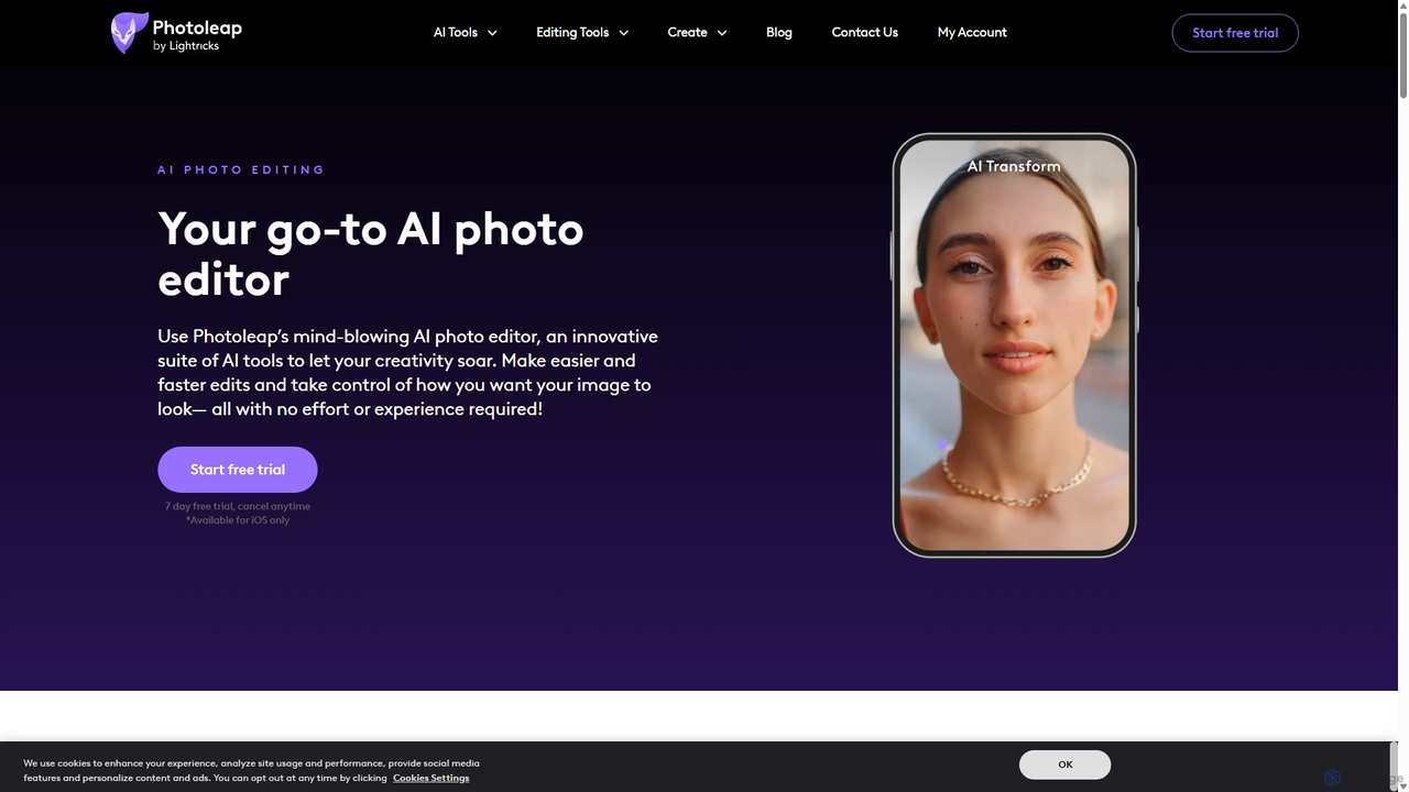 AI Photo Editor: AI Photo Editing | Photoleap for Photoleap