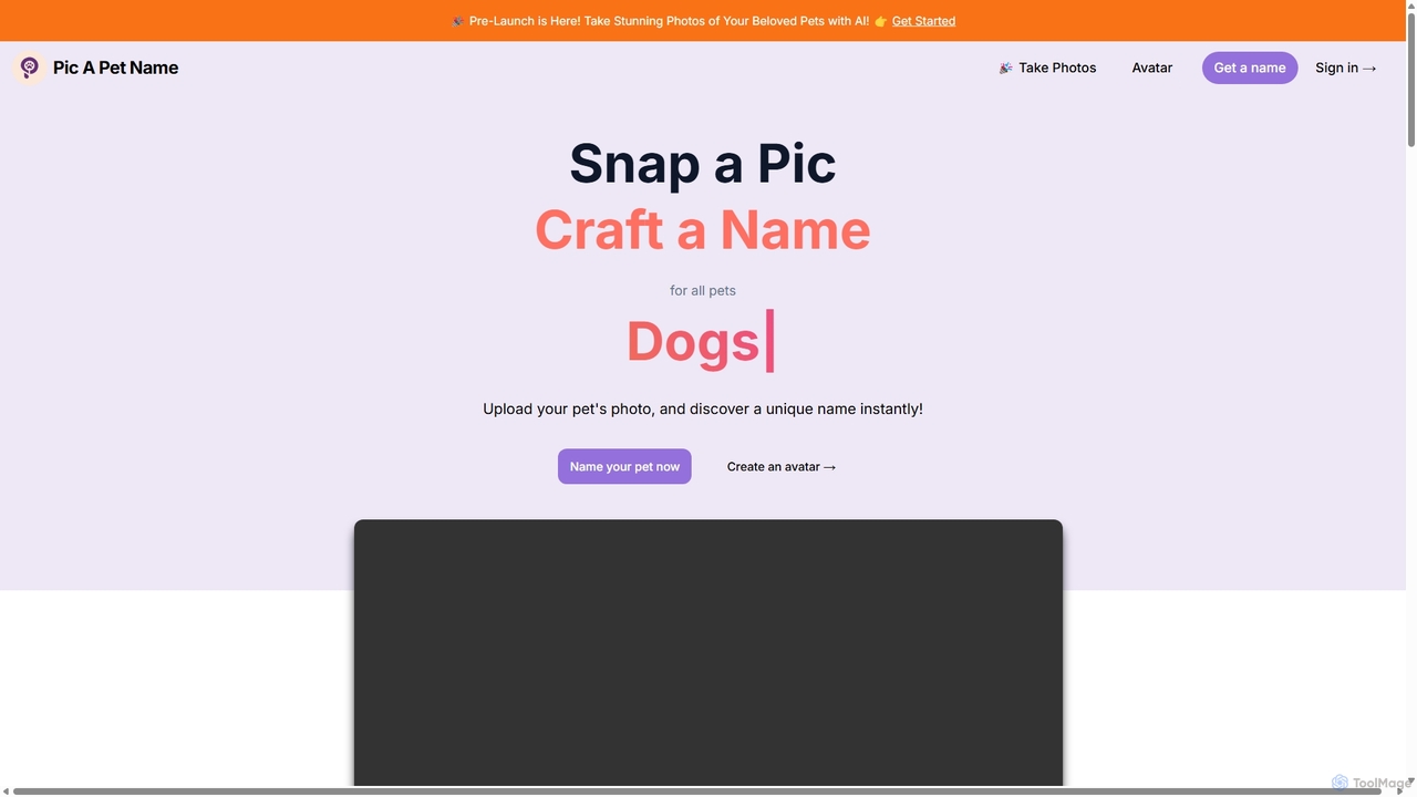 Picapetname