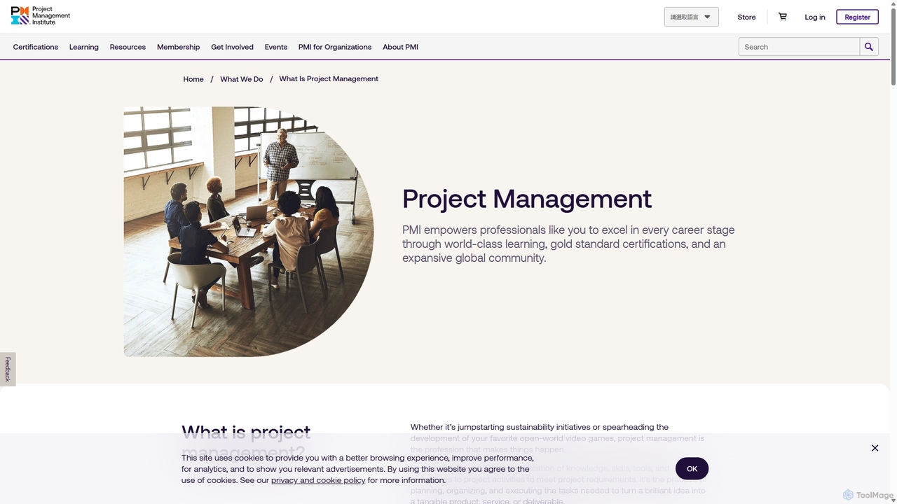 What Is Project Management for PMI