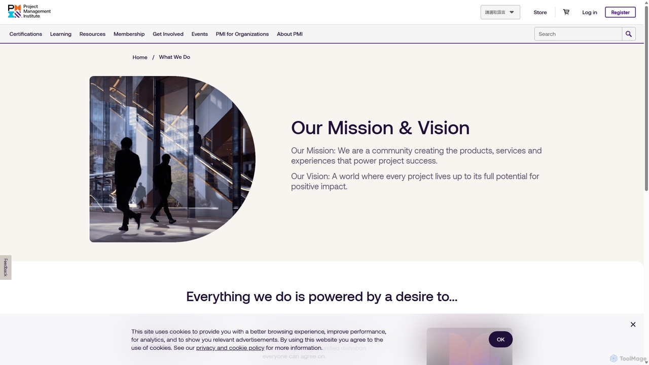 Our Mission & Vision | PMI for PMI