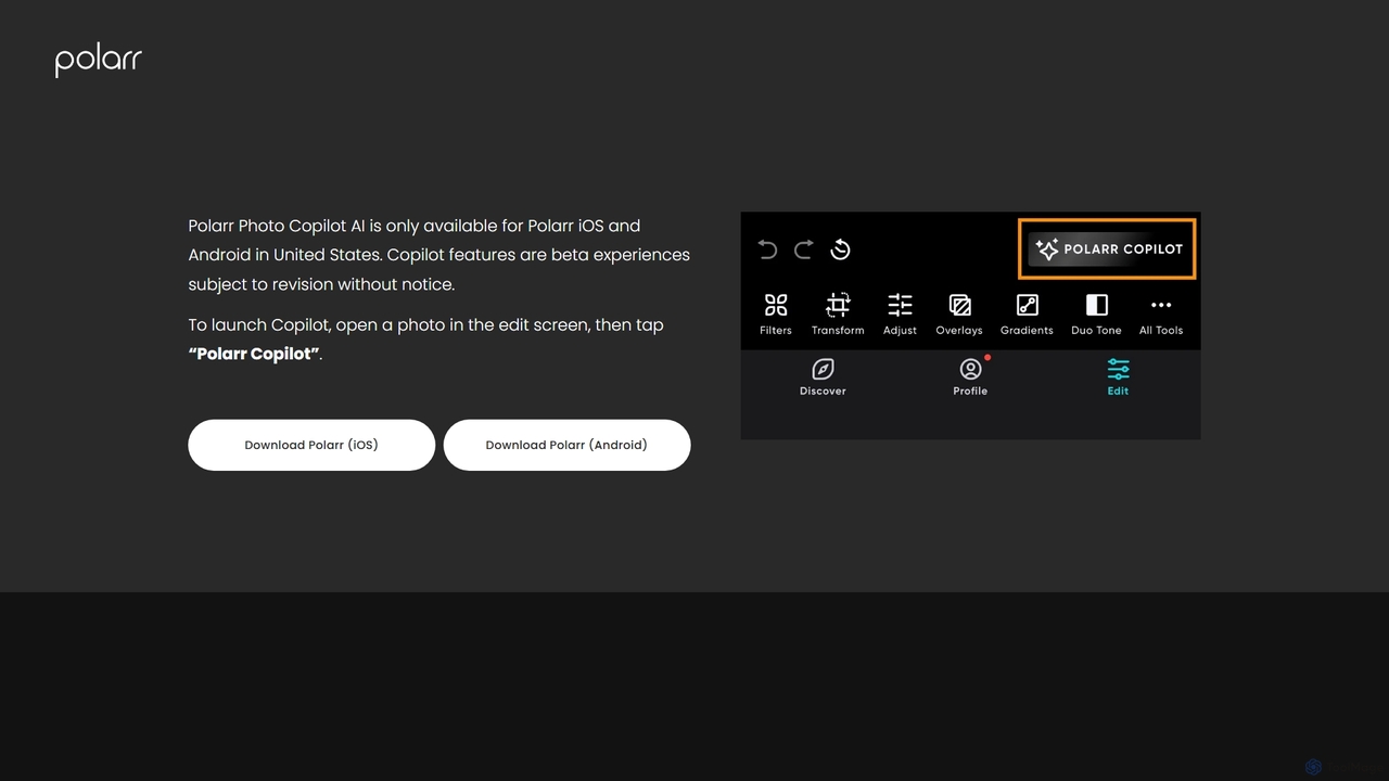 Polarr Photo Editing AI Copilot — Polarr Copilot for Polarr Copilot